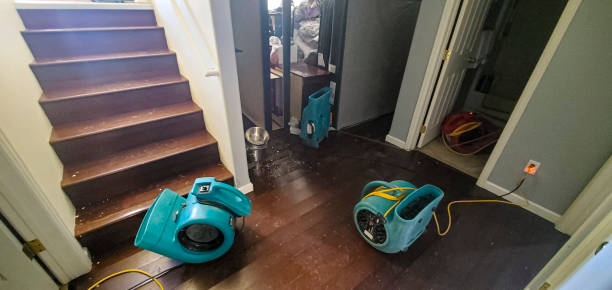 Best Flood damage cleanup  in Weed, CA
