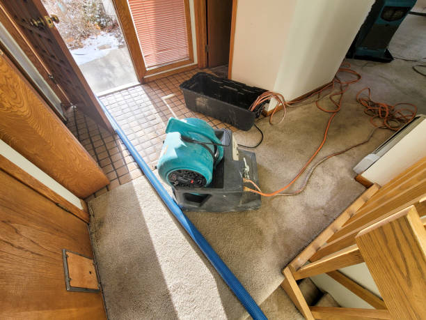 Best Water damage restoration services  in Weed, CA