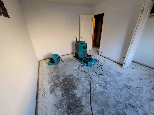 Best Water damage restoration near me  in Weed, CA