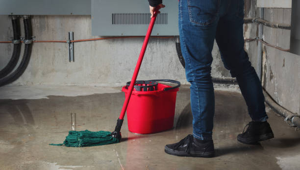 Best Fire Damage Restoration  in Weed, CA