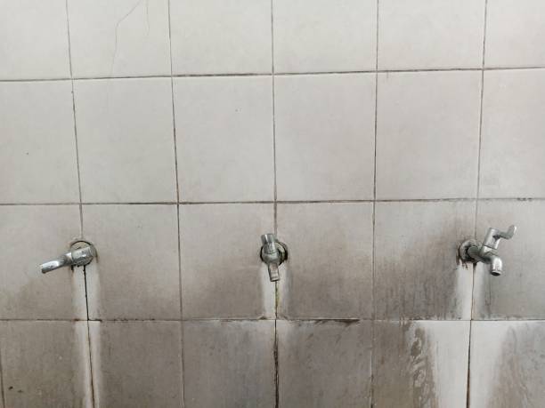 Best Water damage contractors near me  in Weed, CA