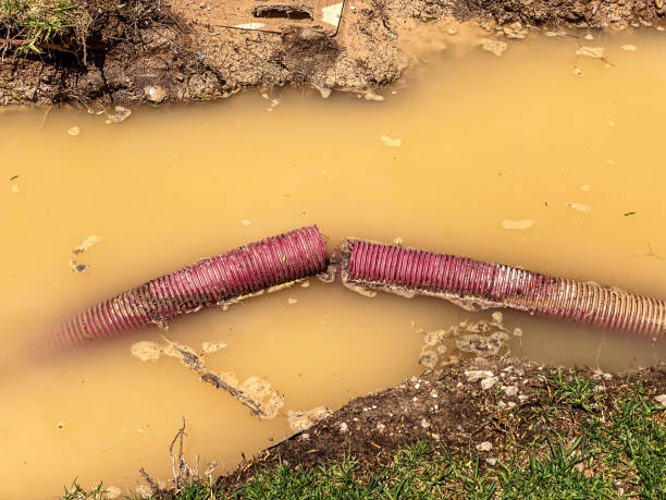 Best Sewage cleanup and water damage restoration  in Weed, CA